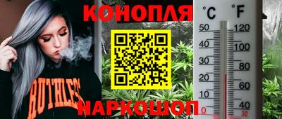 шишки Краснознаменск