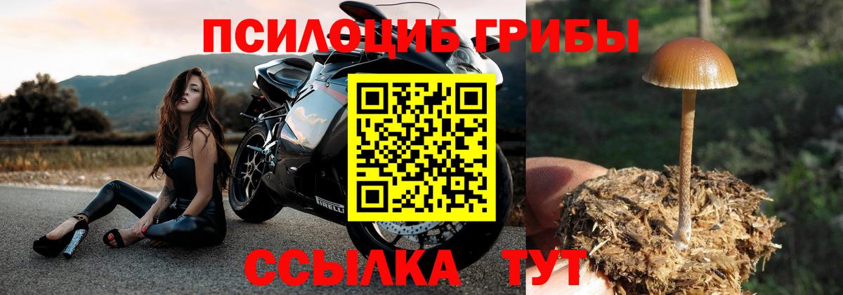купить  цена  Вход с VPN  Шатура  Псилоцибиновые грибы мухоморы 