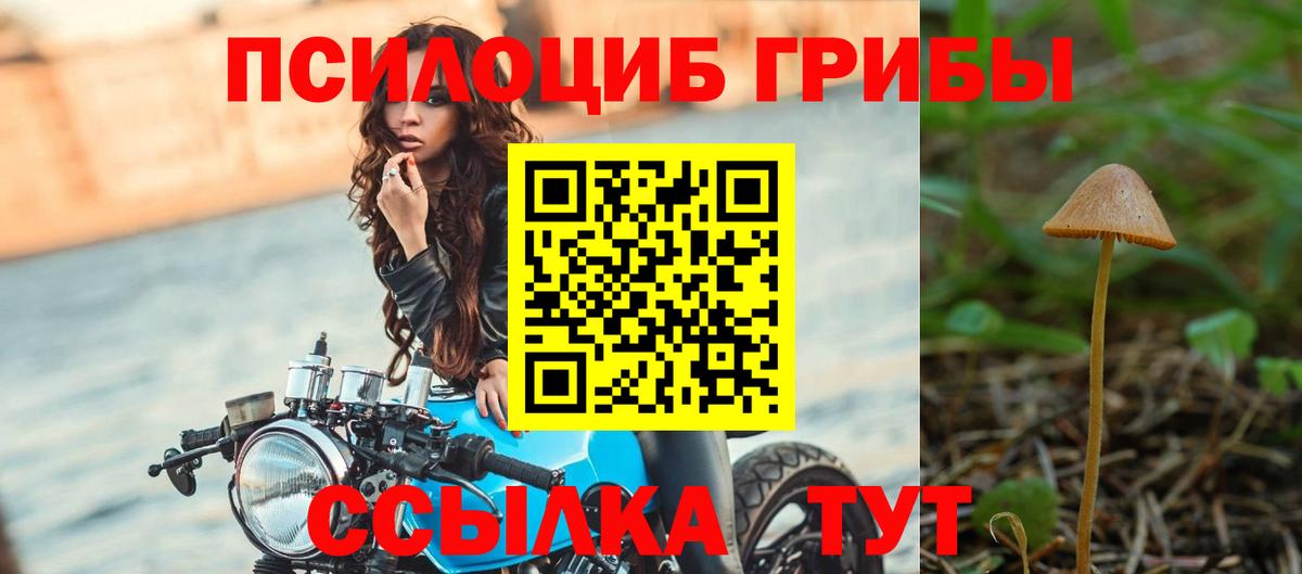 Псилоцибиновые грибы мицелий Шатура